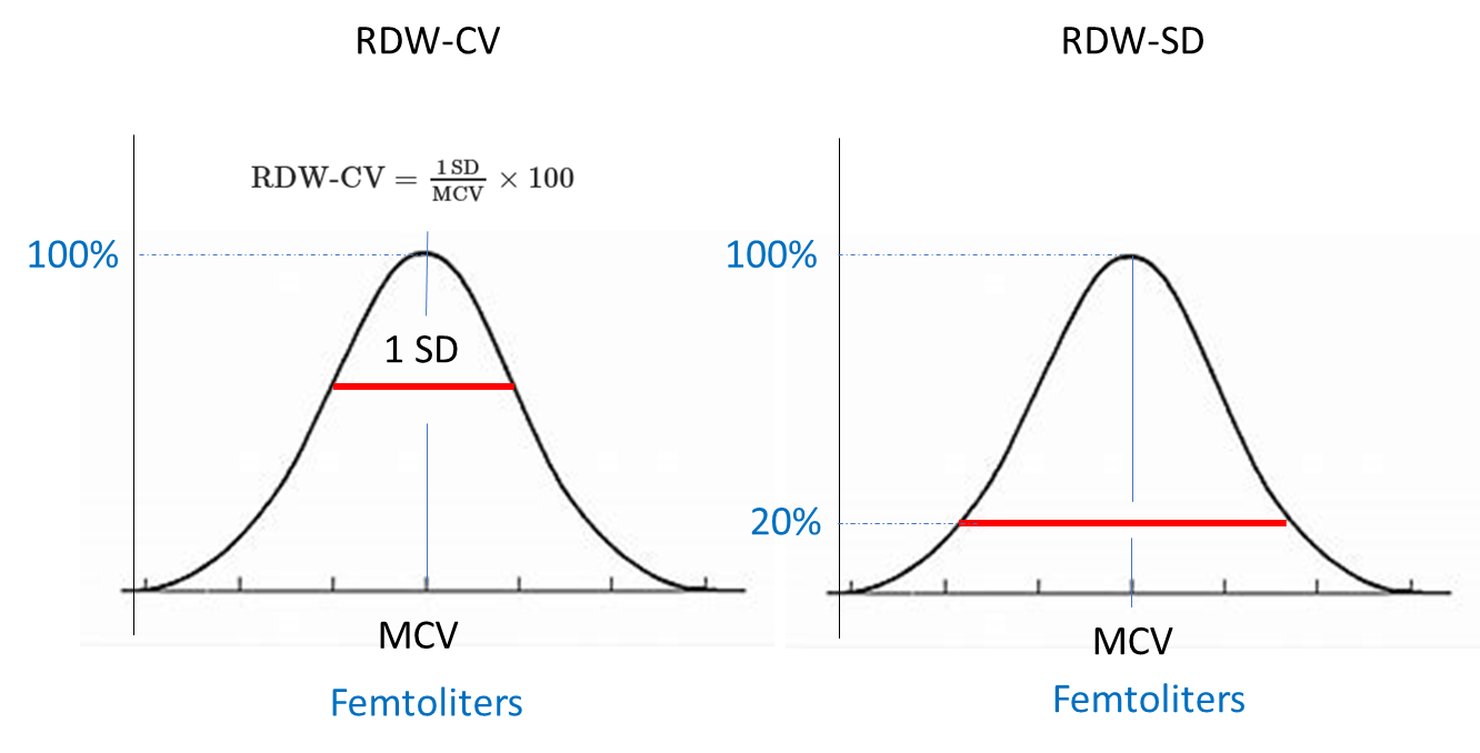 A single lab value • The Blood Project