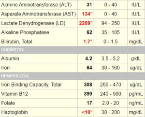 Labs • The Blood Project