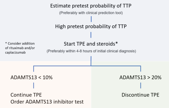 Algorithms and Flowcharts • The Blood Project