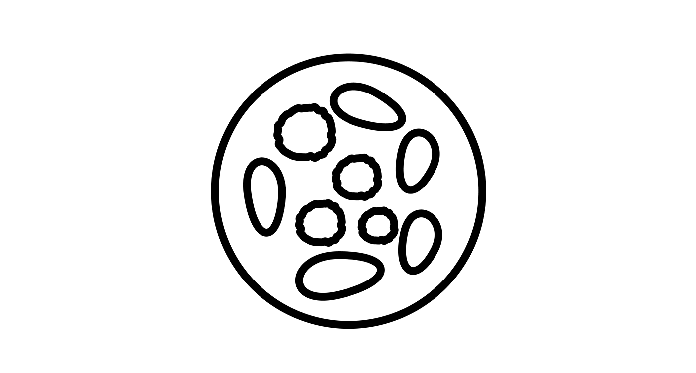 Weekly Quiz #1 • The Blood Project