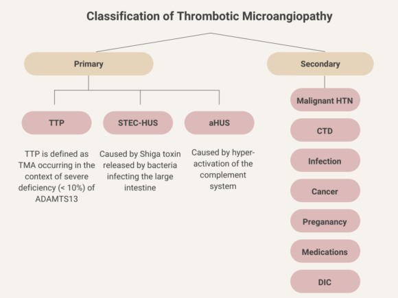 Algorithms and Flowcharts • The Blood Project