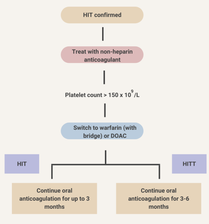Algorithms and Flowcharts • The Blood Project
