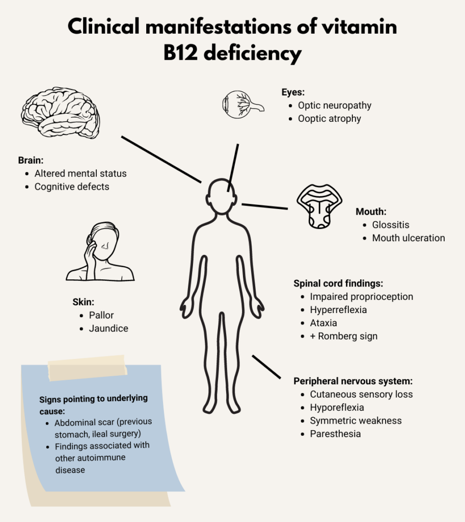 case study vitamin b12 deficiency