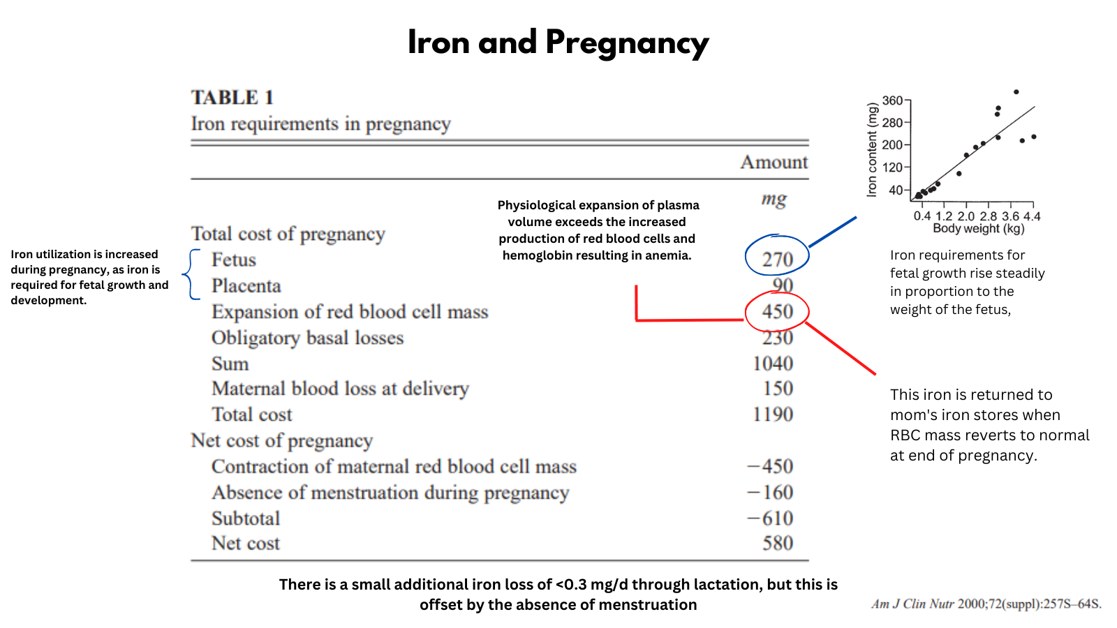 iron-and-pregnancy-the-blood-project