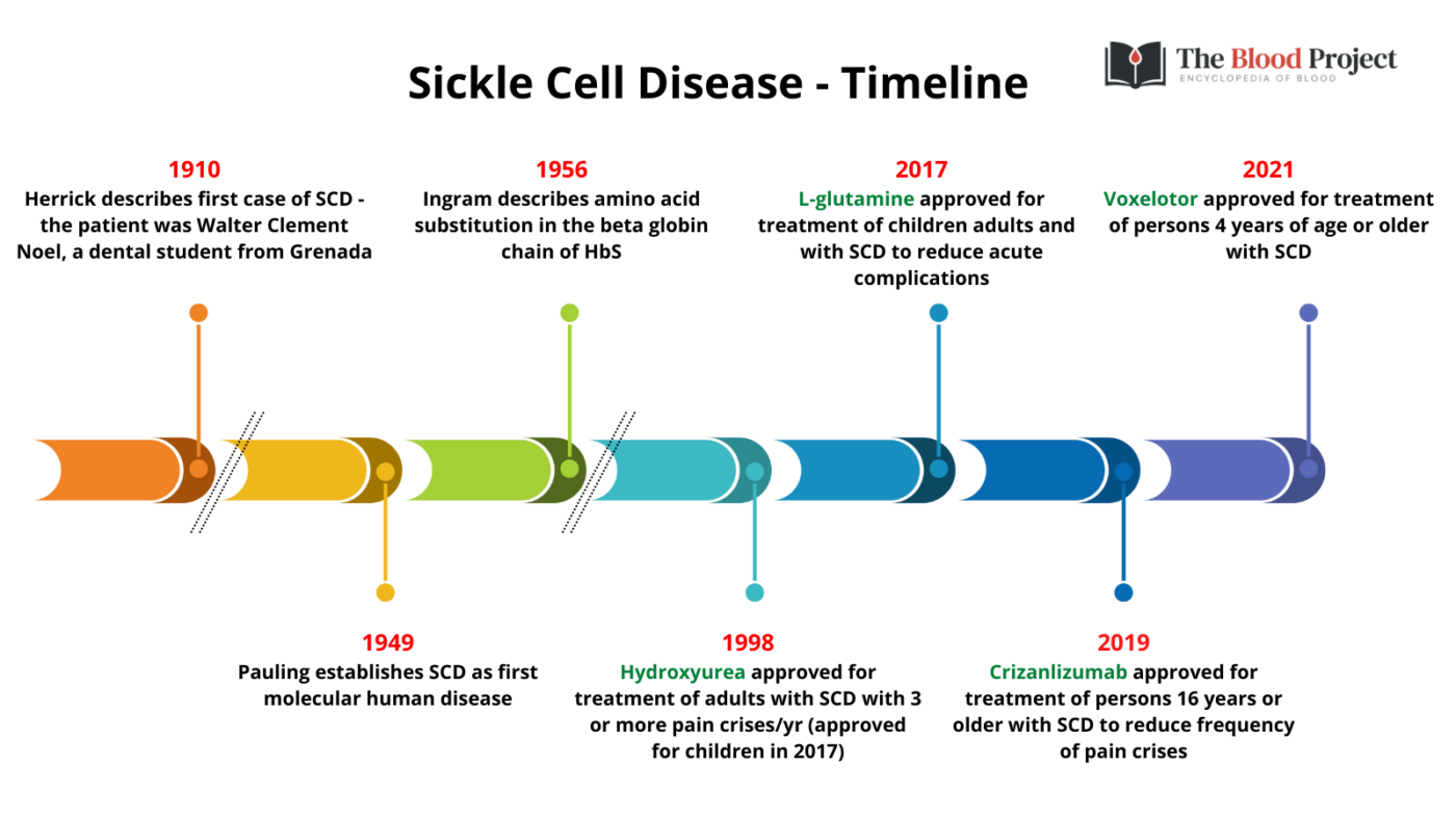 Sickle cell disease timeline the blood project