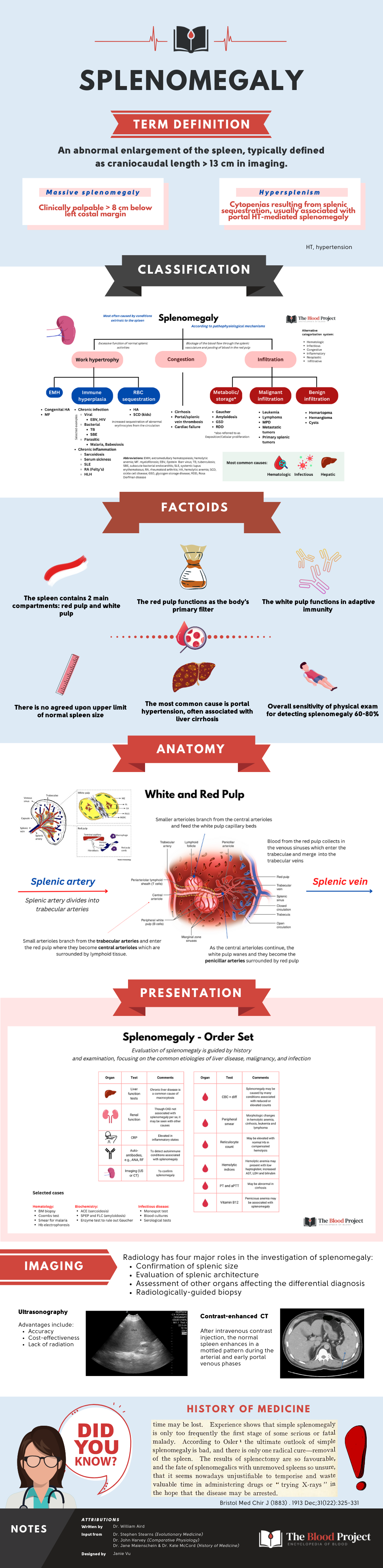 Splenomegaly • The Blood Project