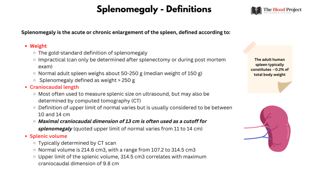 Splenomegaly - Definitions • The Blood Project