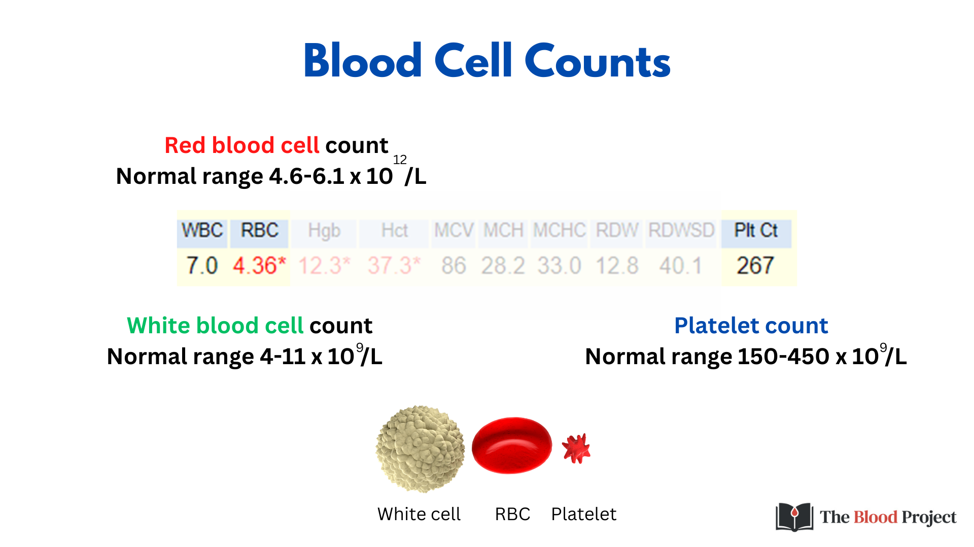 Blood Counts The Blood Project Blood Counts The Blood Project