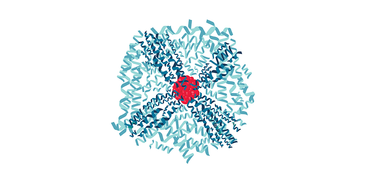 Alcohol and Iron • The Blood Project