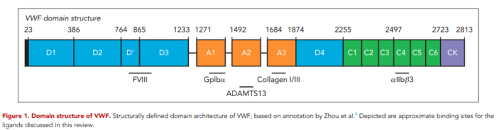 Pathophysiology of TTP • The Blood Project