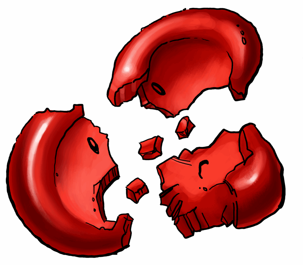 Schistocyte (or schizocyte)