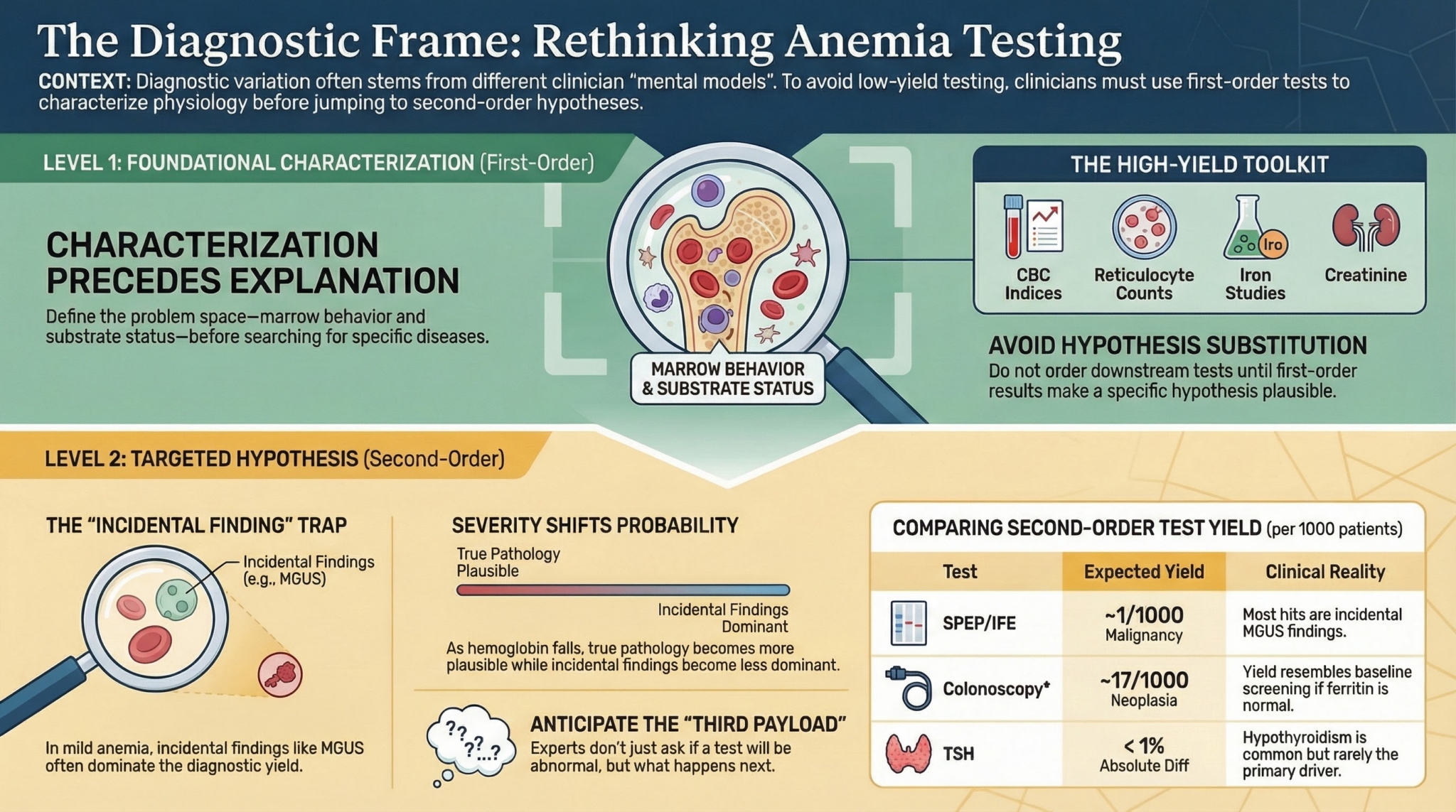What test would you order for a patient with anemia? • The Blood Project